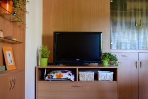 盧比安納的住宿－Sweet home in Ljubljana，木质娱乐中心的平面电视