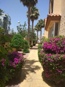 アルビールにあるApartamentos Luna y Rosaの紫の花の庭園