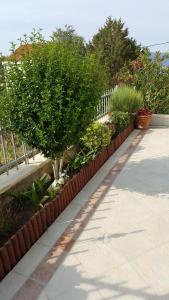 a garden with plants and a fence and a sidewalk at Apartments Romana in Slatine