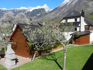 a house with mountains in the background with a tree at Apartments Mrakič in Bovec