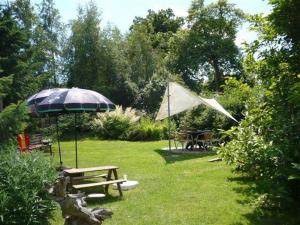 a park with a picnic table and an umbrella at Pension-Drews-Ferienzimmer-3 in Grubenhagen