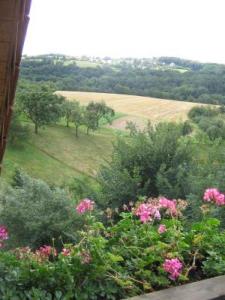 Blick auf ein Feld mit Bäumen und rosa Blumen in der Unterkunft Ferienwohnung Mund in Pillnitz