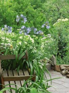 een tuin met paarse bloemen en een houten bank bij Ferienwohnung-Mund in Pillnitz