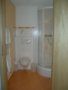 ein Badezimmer mit Toilette und Dusche in der Unterkunft Rothers Ferienwohnung in Annaberg-Buchholz
