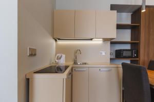 Kuchyň nebo kuchyňský kout v ubytování Apartments Bohemia Rhapsody