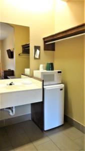 a bathroom with a counter and a sink and a mirror at La Copa Inn in McAllen