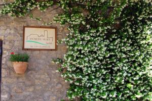 Zahrada ubytování B&B Antiche Mura