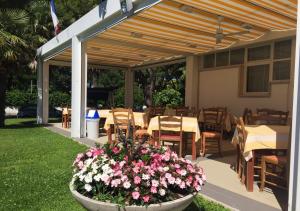 Zahrada ubytování Hotel Consuelo