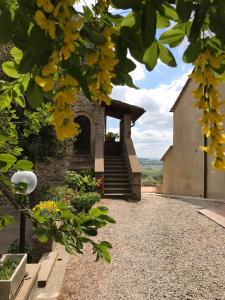 an external view of a building with yellow flowers at Sant'Antonio in Volterra
