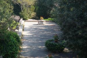 ogród z ławką, roślinami i drzewami w obiekcie Finca Son Vivot w Ince