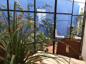 une pièce avec une bande de plantes dans l'établissement Casa Molcajete, à Mexico