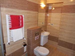 ジブヌフにあるApartament Majaのバスルーム(トイレ、シャワー、シンク付)