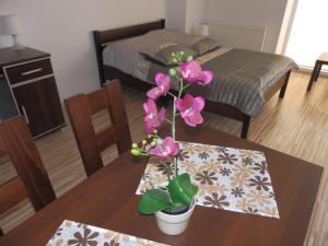 ジブヌフにあるApartament Majaのピンクの花が飾られたテーブルが備わる部屋