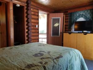 1 dormitorio con 1 cama y TV de pantalla plana en Seven Dwarfs Cabin - On The Brook Cabins, en Lake George