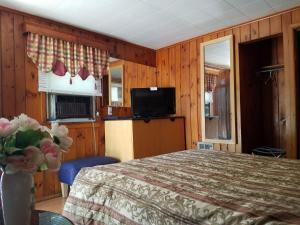 TV a/nebo společenská místnost v ubytování Seven Dwarfs Cabins - White Cabin