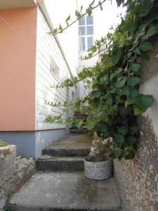 una escalera que conduce a un edificio con una planta en Apartments Ema, en Šibenik