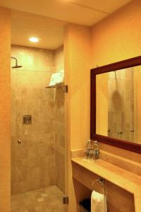 a bathroom with a shower and a sink and a mirror at Hotel Casa Real Tehuacan in Tehuacán