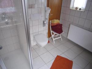 a bathroom with a shower stall and a toilet at Ferienhaeuser-MoJe-1 in Dornum