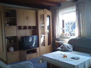 ein Wohnzimmer mit einem Sofa und einem TV in der Unterkunft Ferienwohnung Thomsen in Taarstedt