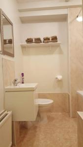 bagno con servizi igienici, lavandino e specchio di Central Dumfries a Dumfries