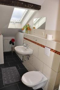 La salle de bains est pourvue de toilettes et d'un lavabo. dans l'établissement 4R-Fewo-Altstadtblick-L15, à Dresde