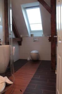 a bathroom with a toilet and a skylight at Duesternbrooker-Villa in Kiel
