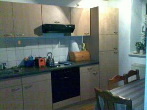 a kitchen with a sink and a stove top oven at Ferienwohnungen-Willrich-Ferienwohnung-1 in Blankenheim