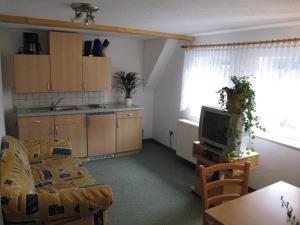 eine Küche und ein Wohnzimmer mit einem Sofa und einem TV in der Unterkunft Ferienwohnung 3 in Hermsdorf