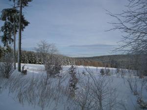 a field covered in snow with trees and aiety of trees at Ferienwohnung-3 in Hermsdorf