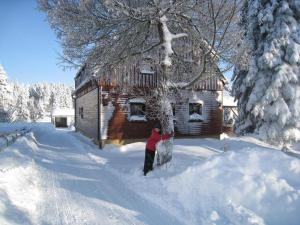 eine Person, die im Schnee vor einer Hütte steht in der Unterkunft Ferienwohnung 1 in Hermsdorf