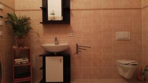 a bathroom with a sink and a toilet and a mirror at Feriendomizil-Roger-Wohnung-2 in Leipzig