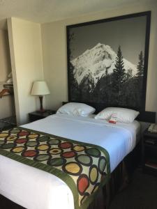Un pat sau paturi într-o cameră la Super 8 by Wyndham Kelowna BC