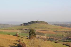 ein grünes Feld mit einem Baum auf einem Hügel in der Unterkunft Ferienwohnung Zeller in Tengen