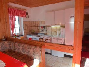 eine kleine Küche mit einem Herd und einem Kühlschrank in der Unterkunft Familienfreundliche Ferienwohnung direkt in der Natur in Eichenbach