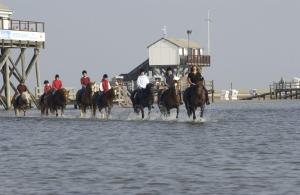 eine Gruppe von Menschen, die durch das Wasser reiten in der Unterkunft Reiterhof Immensee, App. H in Sankt Peter-Ording