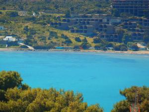 una vista de un cuerpo de agua con árboles en Hotel Liberty 1 en Agia Marina Aegina