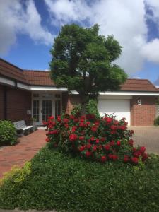 a flower bed with red roses in front of a building at Pension KRUSE in Büsum