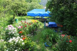 Ein Garten an der Unterkunft Hotel MIRA