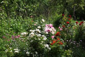 Ein Garten an der Unterkunft Hotel MIRA