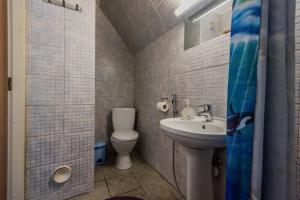a small bathroom with a toilet and a sink at Lubja Holiday House in Pärnu