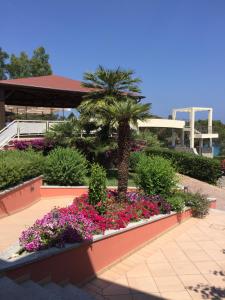 Сад в Hotel La Perla Del Golfo