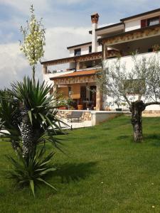a house with a pineapple plant in the yard at Villa Kimberly in Rovinj