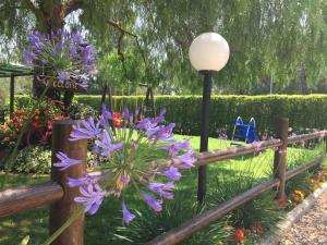 a bunch of purple flowers on a fence at Casale Del Borgo in Hermada