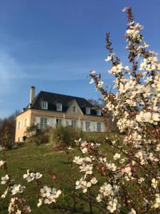 una casa grande con un árbol floreciente delante de ella en Beth Soureilh Adults Only, en Coarraze