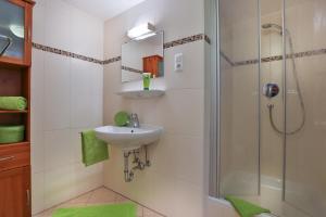 W łazience znajduje się umywalka i prysznic. w obiekcie Alpenferienwohnungen Wiesenlehen w mieście Berchtesgaden