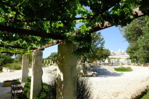 vistas al jardín desde debajo de un árbol en Masseria Trulli e Vigne, en Martina Franca