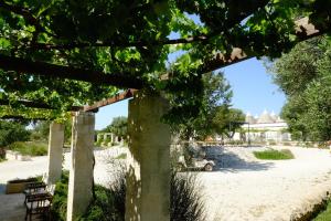 a view of the garden from under a tree at Masseria Trulli e Vigne in Martina Franca