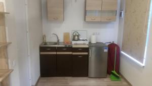 Η κουζίνα ή μικρή κουζίνα στο Ošupio poilsis