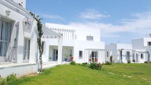 a white house with a green lawn at Akrotiri Villas Skyros in Skiros