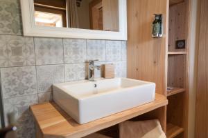 a bathroom with a white sink and a mirror at La Cabane de Tim in Muhlbach-sur-Munster